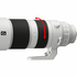 200-600mm f/5.6-6.3 G OSS FE Monture Sony E + téléconvertisseur 2x