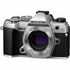 OM-5 Argent + 12-40mm F2.8 II