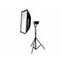 Kit 2 Torches Forza 150 LED
