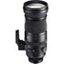 150-600mm f/5-6.3 DG DN OS Sports Leica L