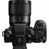 Lumix S 100mm F2.8 Macro