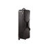 Kit 2 Flashs AD600IIPro