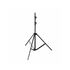Kit 2 Flashs AD600IIPro