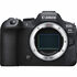EOS R6 II Boitier nu + 3 batterie suppl. + chargeur + carte 64 Go