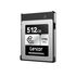 Lumix S1R II Boitier nu + CFexpress Lexar 512 Go + 2 batteries BLK22 + chargeur