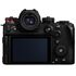 Lumix S1R II + 24-70mm F2.8