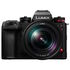 Lumix S1 IIE + 24-105mm F4