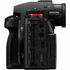 Lumix S1 IIE + 24-60mm F2.8