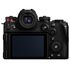 Lumix S1 II + Sigma 28-70mm F2.8