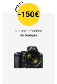 Bridges