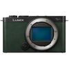 photo Panasonic Lumix S9 Vert Boitier nu