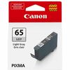 photo Canon Encre CLI-65LGY Light Gris